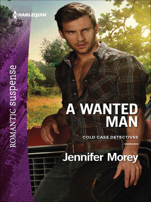 cover image of A Wanted Man